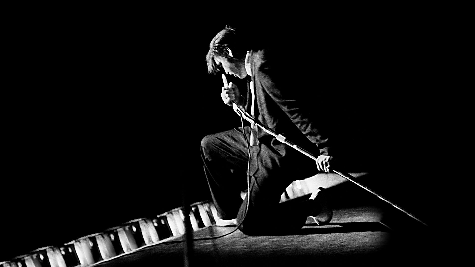 Elvis